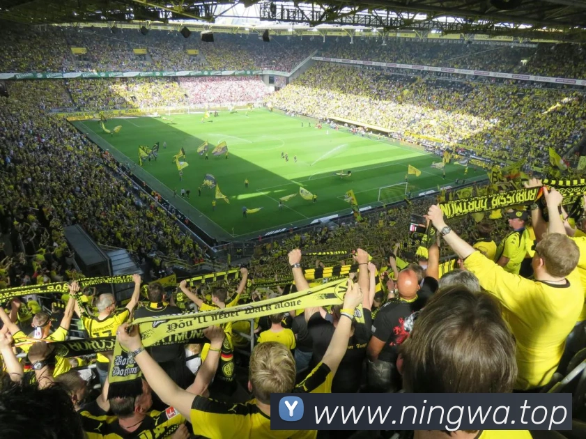 App Interface Preview