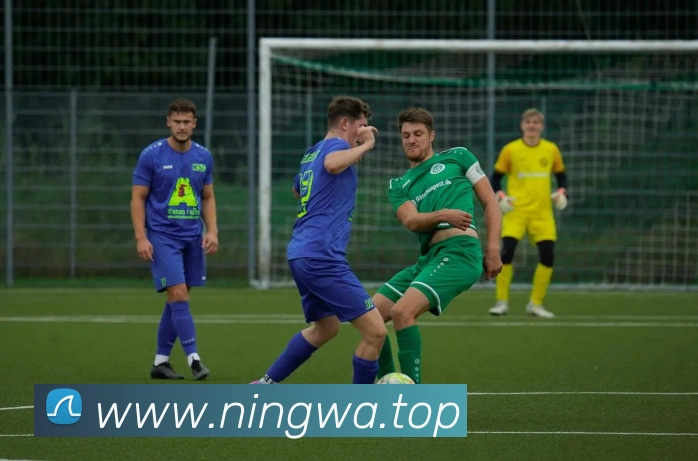 milan米兰官网APP 封面图